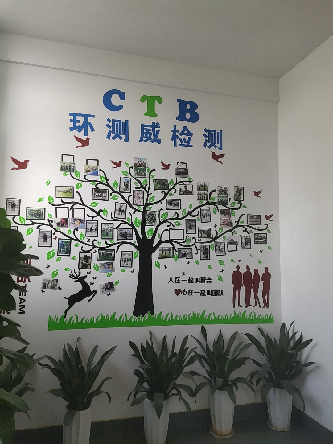 智能手表质量检测报告